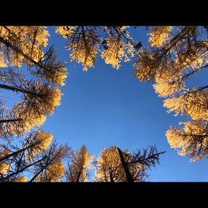 Meet your Posher, Brynne